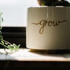 andrew-seaman-621698-unsplash andrew-seaman-621698-unsplash